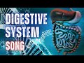 The Digestive System Song With Lyrics 