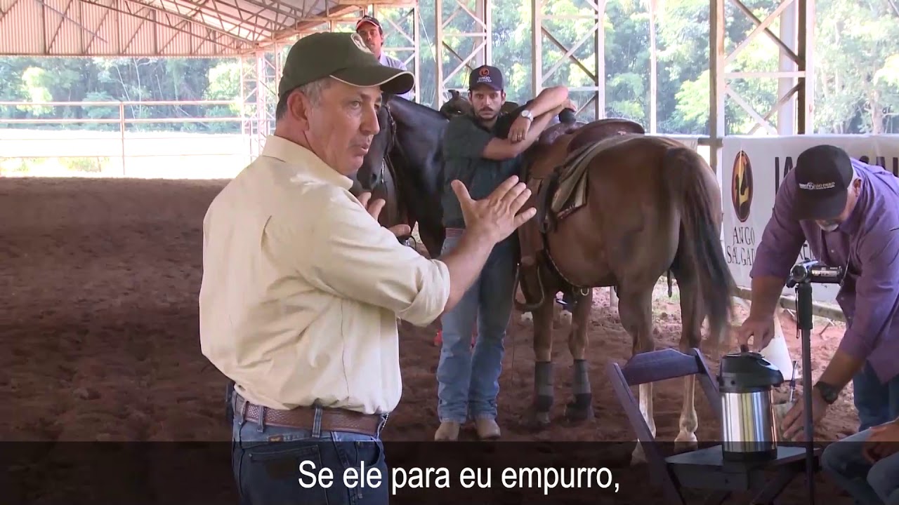 DESPERTE NO CAVALO O DESEJO DE SE MOVIMENTAR!!!!!