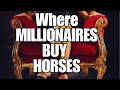 The most expensive horse auction  these horses cost as much as a house