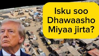 Download Lagu Trump oo shuruud ku xiray joojinta dagaalka GZ, XM oo shuruudaasi aqbashay, Maxaa karkaraya. MP3 Download Lagu Trump oo shuruud ku xiray joojinta dagaalka GZ, XM oo shuruudaasi aqbashay, Maxaa karkaraya. MP3