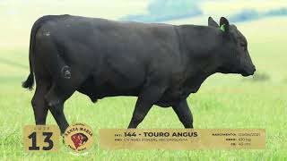 Lote 13 Tat 144 Angus M