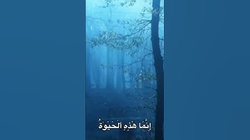 ﴿ يَا قوم انما هَٰذِه الْحَيَاة الدنْيَا مَتَاعٌ وإِن الاخره هي دار الْقَرارِ ﴾سورة غافر- الآية (39)