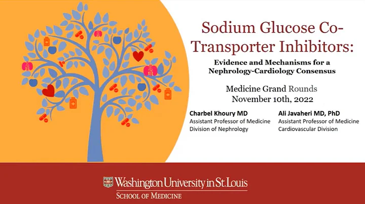 11-10-2022 - SGLT2i: Evidence and Mechanisms for a Nephrology-Cardiology Consensus