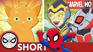 Spidey, Ant-Man \& Wasp Face Cat-a-clysm! | Marvel Super Hero Adventures - Evil Mittens  | SHORT