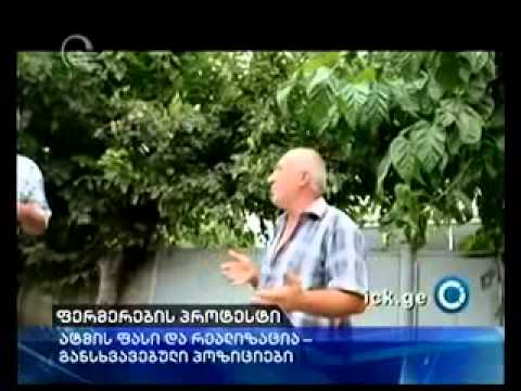 გაჩეხილი ატმის ხეები