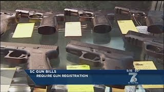 SC Senator to File Gun Restriction Bills