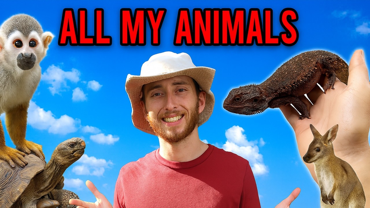 Накормим всех животных в Shadow's Reptiles — забег на скорость!!