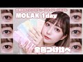 【MOLAK1day】6色つけ比べ！【全色レビュー】