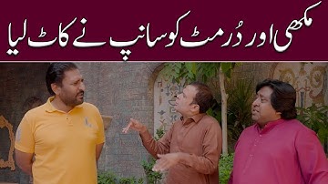 Rana Ijaz adopted a snake | Standup Comedy By Rana Ijaz | Rana Ijaz New Funny Video | #ranaijaz