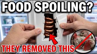 Healthy A Copper Coil In Your Fridge Makes Food Last 3x Longer — Why Did Manufacturers Remove It? Garden Guide