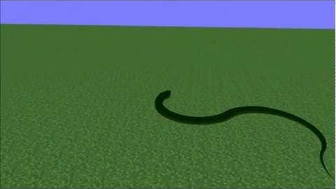 [C++ & OpenGL] Snake update