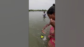 Người Ấn Độ bắt cá bằng chai độc lạ #shorts