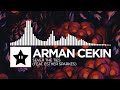 Arman Cekin Sever The Ties Feat Esther Sparkes mp3