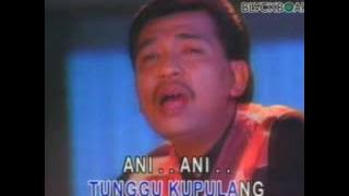 ani imam s arifin