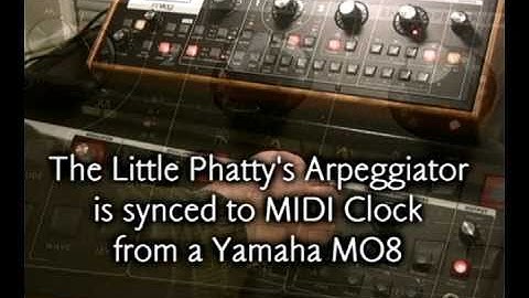 Moog Slim Phatty & Little Phatty Performance Example