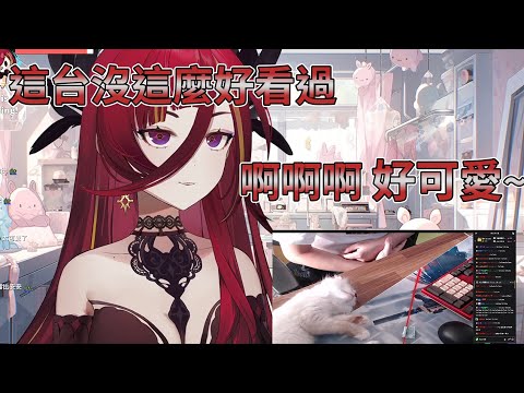 【直播精華】熙歌:啊啊啊 好可愛啊~ #熙歌 #ren #極深空計畫