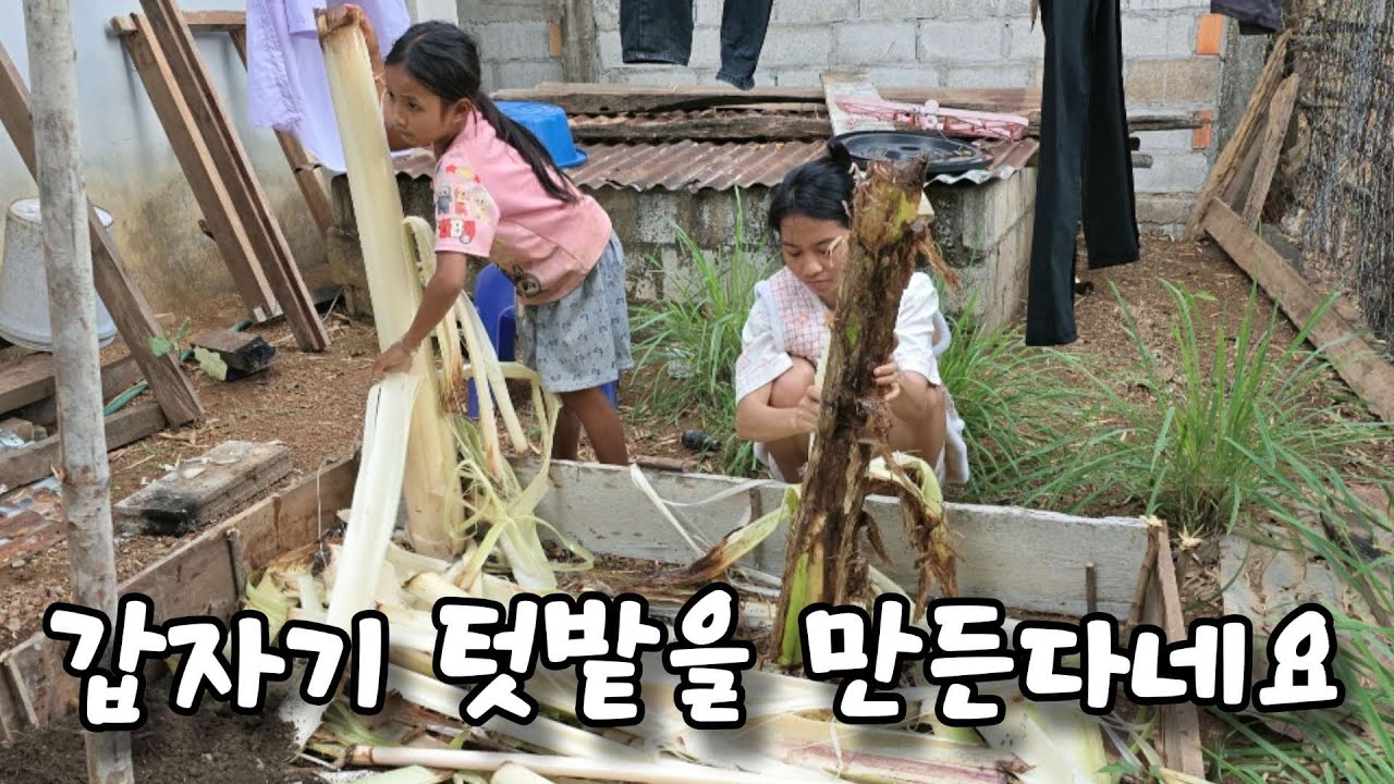 라오스 남풍네 라이브.