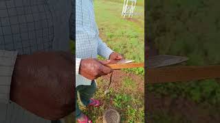 औजार में धार कैसे करते है ? How To Sharp A Tool ? shorts short tools tool igkv agritech farm