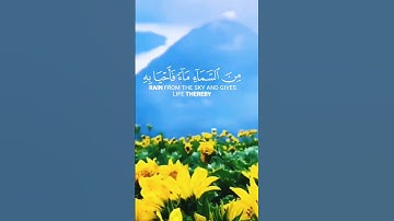 و لئن سألتهم من نزل من السماء ماء فأحيا به الارض بعد موتيها #قرآن #آيات