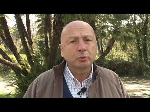 ლეიბორისტული პარტიის ფოთის ორგანიზაციის ხელმძღვანელმა 9 აპრილს დაღუპულებს პატივი მიაგო