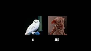 Hedwig Vs Dobby