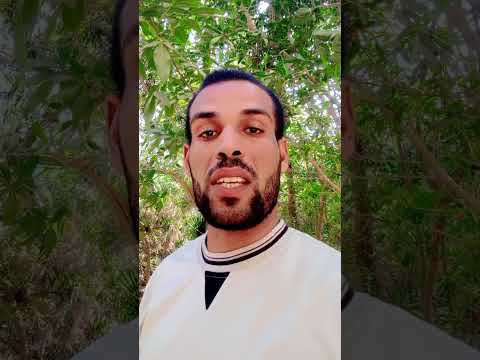 عند التسميد بعنصر الماغنسيوم