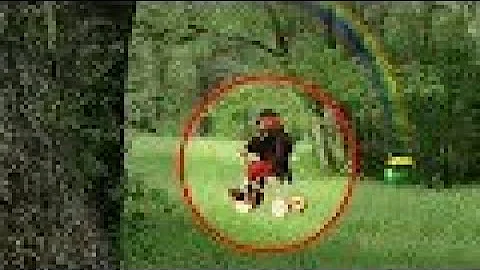 5 LEPRECHAUN CAUGHT ON CAMERA & SPOTTED IN REAL LIFE!