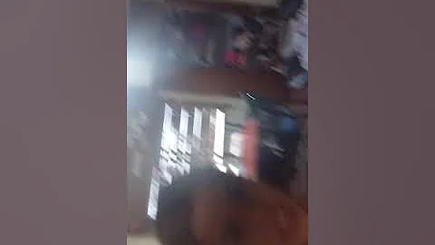 More y umma la garita y la perrita