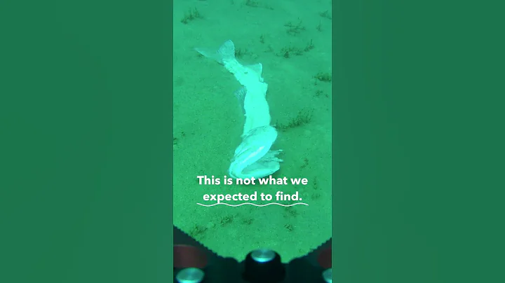 An odd find at the bottom of Lake Tahoe #shorts