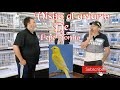 VISITA DE AVIARIOS 🐦🦜🕊️José Tormo Ferri,,,, ▶️Color y postura🇪🇸