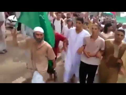 انضر الى الجزائريون كيف يطالبون بنقلهم الى فلسطين في اقصى سرعة