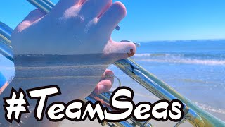 #TeamSeas | The Pacific | Hans Zimmer | Brass Quintet