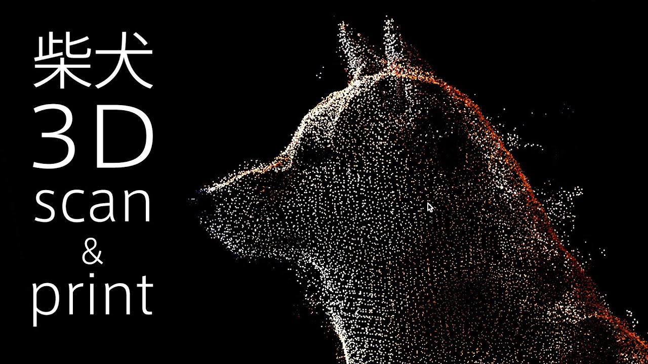 Making of Low Poly Shiba Inu Dog - Photogrammetry, 3D Modeling, & 3D Printing