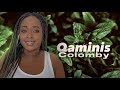 2025 Colomby Audio Qaminis Reaction 