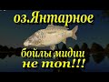 оз. Янтарное / поставь другие бойлы / русская рыбалка 4