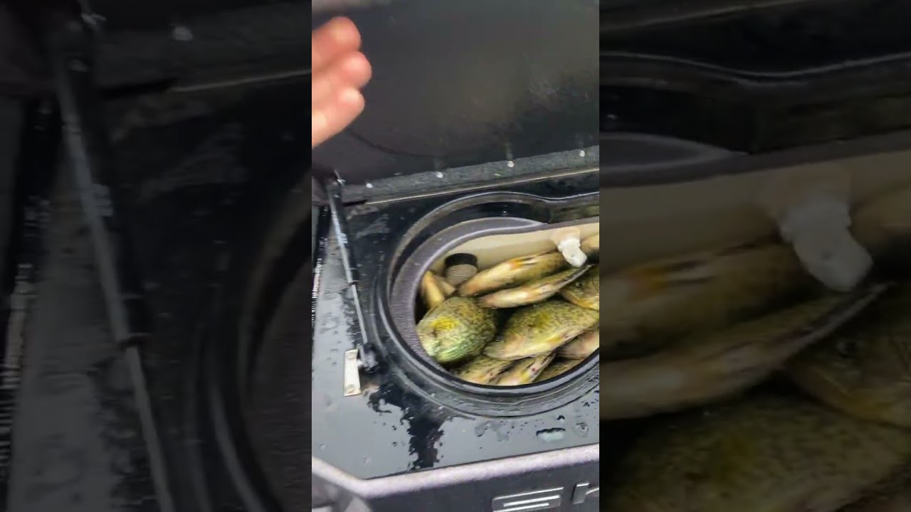 Nice little four man limit of crappies. 