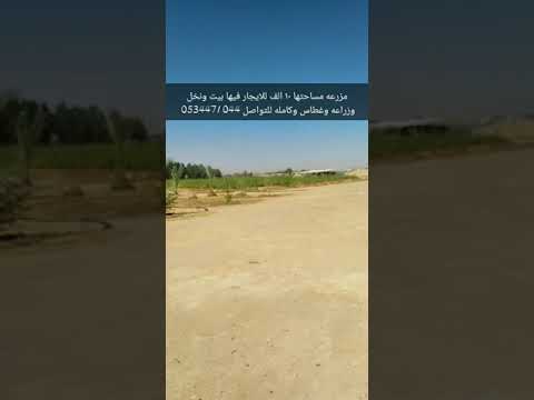 مزرعه جنوب الخرج للايجار مساحتها 10 الف فيها بيت وفيها نخل وغيره ١