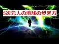 羊化させられるバグを解除せよ！支配の錯覚を解き本物の目覚めた人になるには？