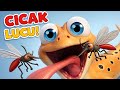 Cicak Cicak di Dinding - Lagu Anak Anak - Lagu Anak Anak Indonesia Populer