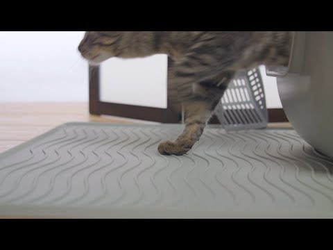 PetFusion ToughGrip Cat Litter Mat