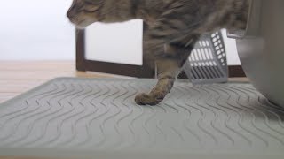 PetFusion ToughGrip Cat Litter Mat