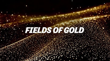 Mydn ft. okafuwa - Fields Of Gold