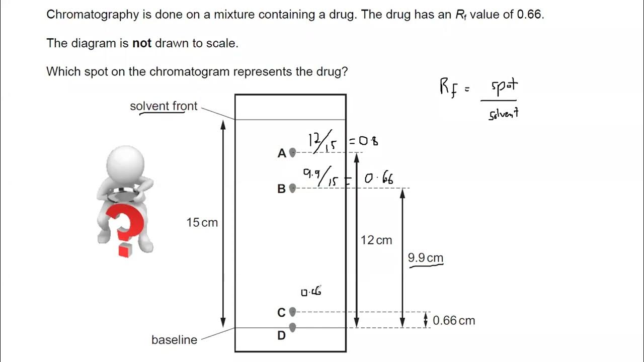 Chromatography Questions Cambridge IGCSE/O level Chemistry YouTube