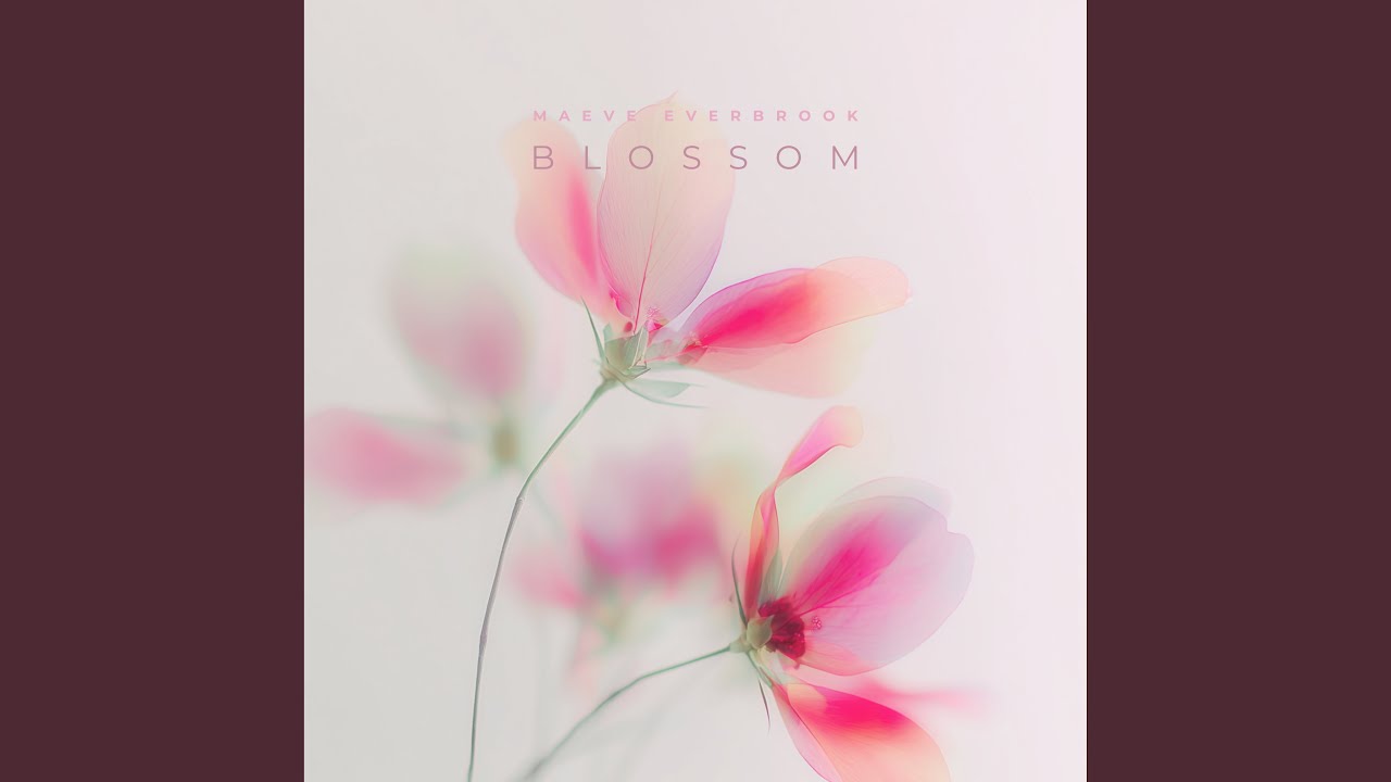 Where We Begin Again