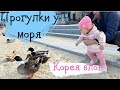 Ужин вне дома.Прогулки у моря. Ответы на вопросы. Немного о хейтерах