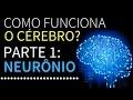 Como funciona o cérebro? | Parte 1: Neurônios | PEDRO CALABREZ | NeuroVox 009