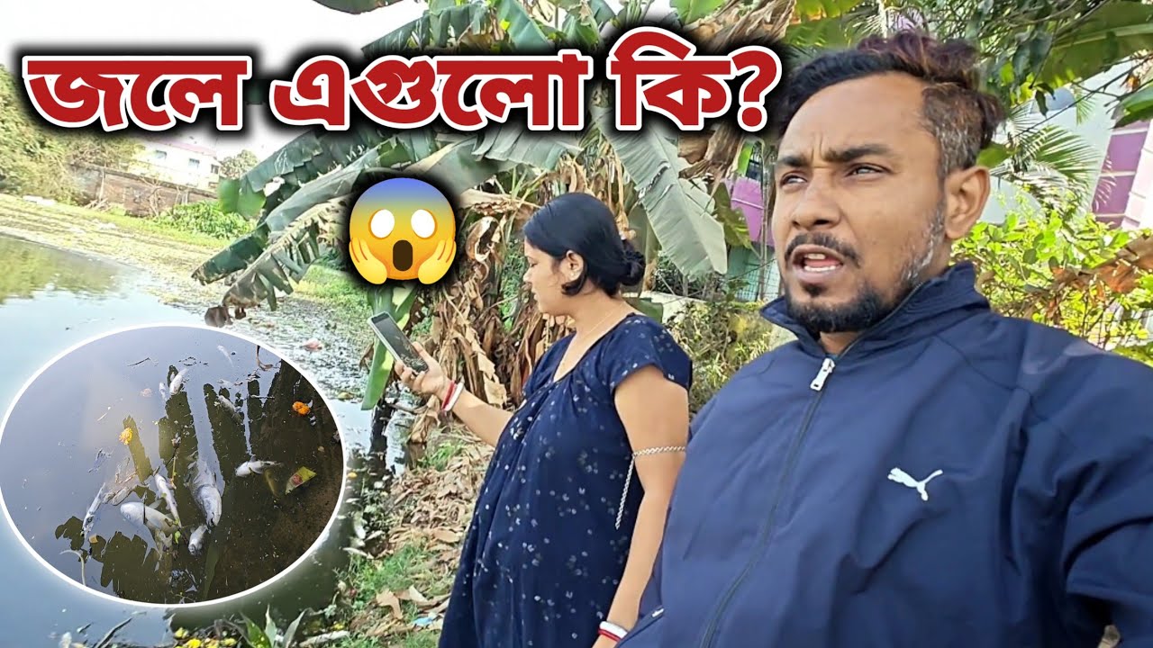 সব মাছগুলো খই এর মত ভেসে উঠলো 😱 | daily vlog 