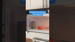 Alexa and Google Are In A Microwave