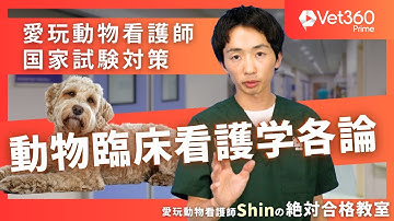 【#2 動物臨床看護学各論】愛玩動物看護師国家試験：愛玩動物看護師Shinの絶対合格教室