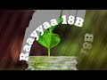 Raayyaa Abbaa Maccaa 18B